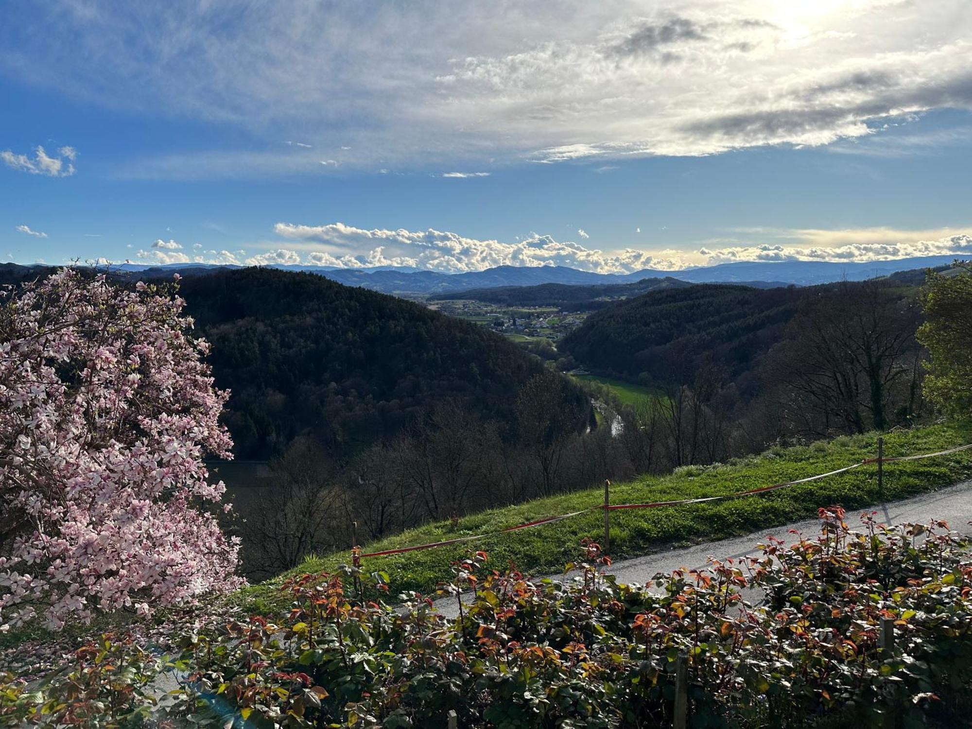 Winzerhaus Roemerstrasse Kitzeck im Sausal Exterior foto